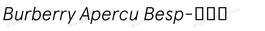 Burberry Apercu Besp字体转换
